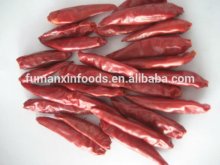 red small chili