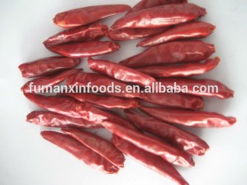 red small chili