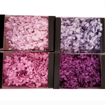 High Quality Pink Hydrangea Preserved Flowers for Wedding Decoration