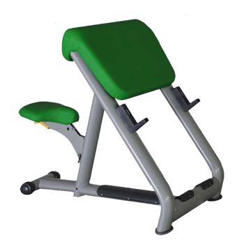 Attrezzatura professionale per la forza della palestra Scott Bench