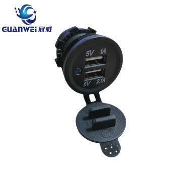 Customized Dual USB Single Light Car Charger