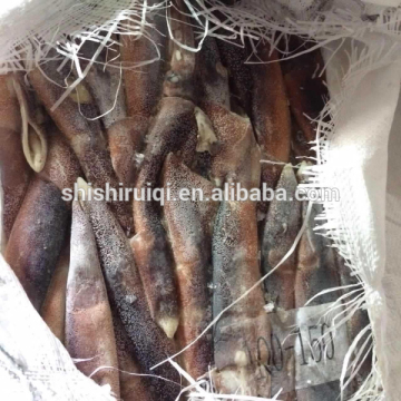 100-150G illex squid illex argentinus