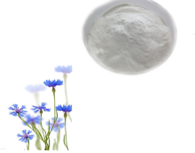 Plant Extract Organic Inulin Powder Chicory Inulin