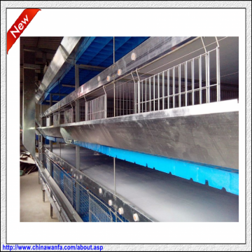 Chicken Egg Poultry Farming Equipment ( Layer & Broiler Chicken Cage )