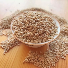 99.95% Purity Nature Sesame Seeds from india