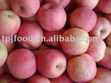 fresh fuji apples for Indian market