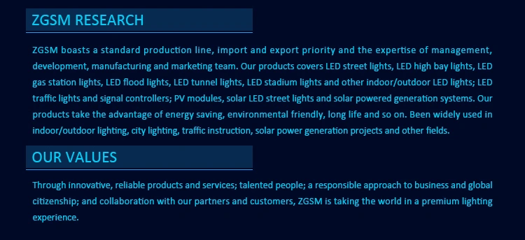 Energy Saving 55W SMD Cobra Head LED Street Light, LED Road Lamp, LED Garden Light