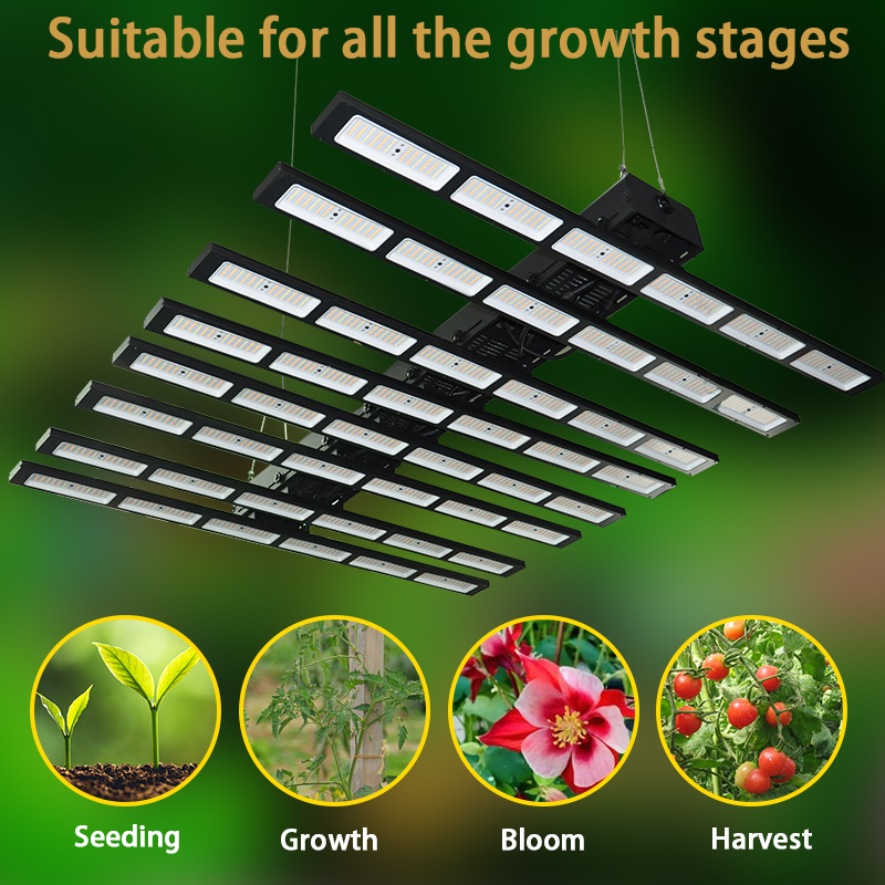 400w Grow Light