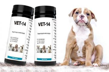 pet vet Urine Testing Strips for Cats Dogs