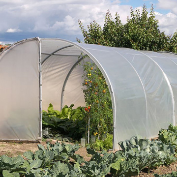 Agricultural PE Film Single Span Greenhouse