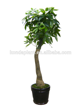 Artificial plants and trees artificial bonsai trees sale home artificial bonsai tree