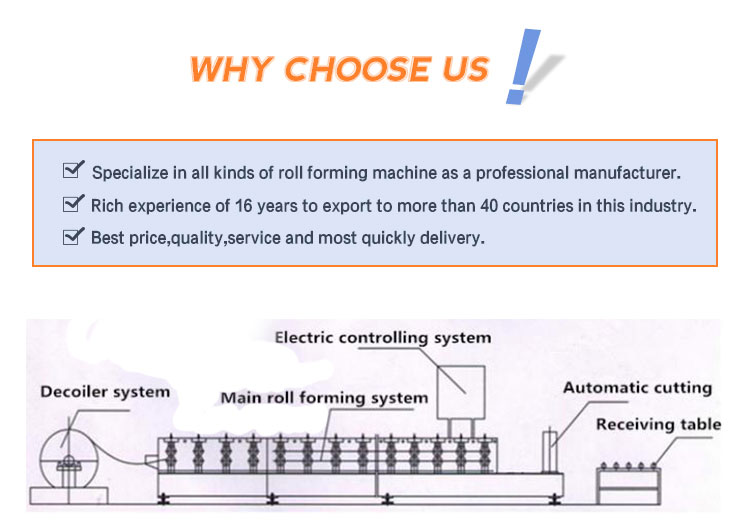 Customized Russian market metal roof sheet forming machine