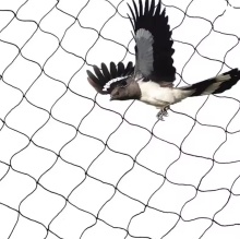 50 Meter Black Polyester Anti-Bird Net for Protection