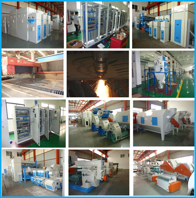 Fish Meal Processing Plant for Sale