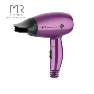 1800-2200W AC Motor Professional Hair Dryer