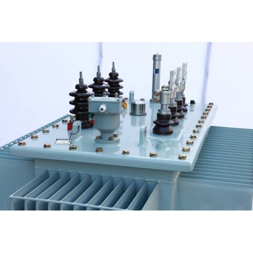 S11/S13/S20/S22 Oil-Filled Electric Transformer