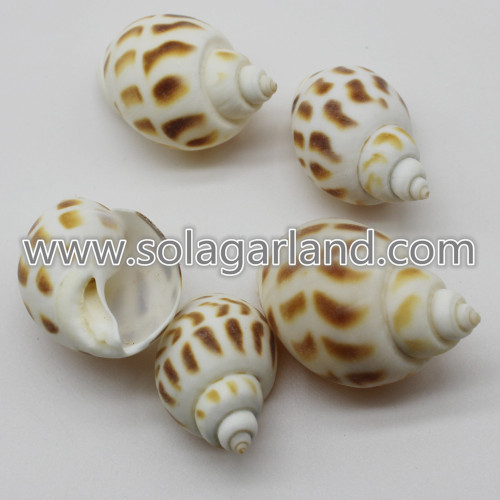 28-38MM Drilled Brown Tiger Shell Beads Natural Shell Beads