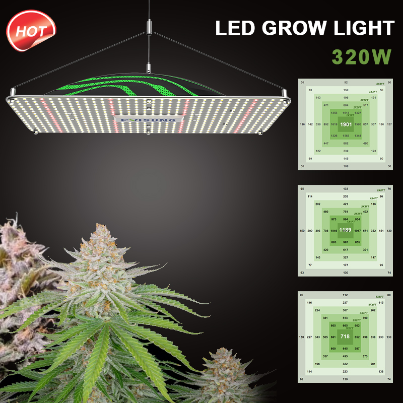 Led Grow Light