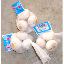 Mesh Packing Normal White Garlic (5.0CM UP)