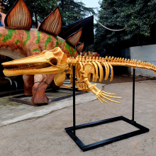 Realistic Resin Fossil Dinosaur Skeleton Model for Museum Decorations