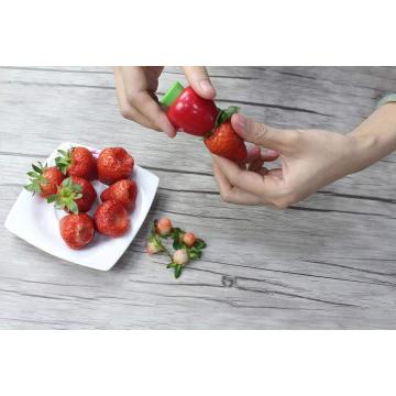 Désincrustant à la tomate Corer fraise Huller