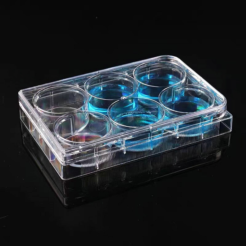 12 Well Tissue Culture Plate