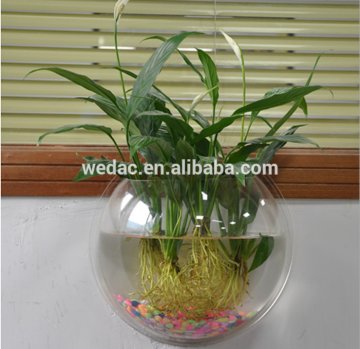 Hot-selling acrylic wall hanging fish tank