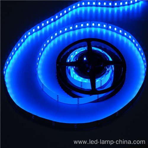 Modern Custom 5m Waterproof SMD3528 Led Strip Light