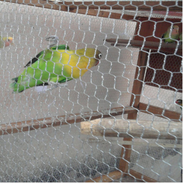 PVC Coated Hexagonal Poultry Wire Netting