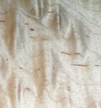 Canadian maple Engineered floor