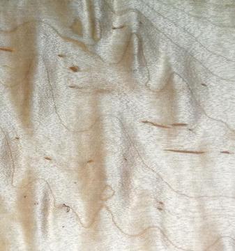 Canadian maple Engineered floor