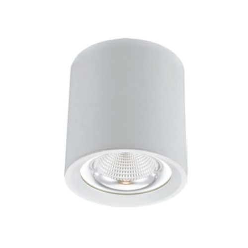 LEDER Decorative Cylindrical 40W LED Downlight