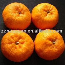 Yongchun Premium Mandarin orange(kino)