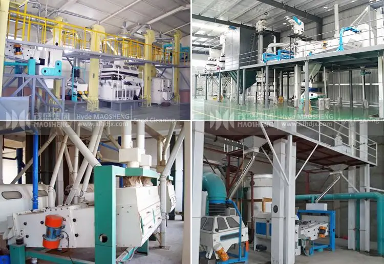 Rice Wheat Grain Sesame Seed Cleaning and Sorting Machine