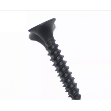 Drywall Black Screw C1022