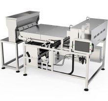 High Quality KM Series Nuts Color Sorter Machine