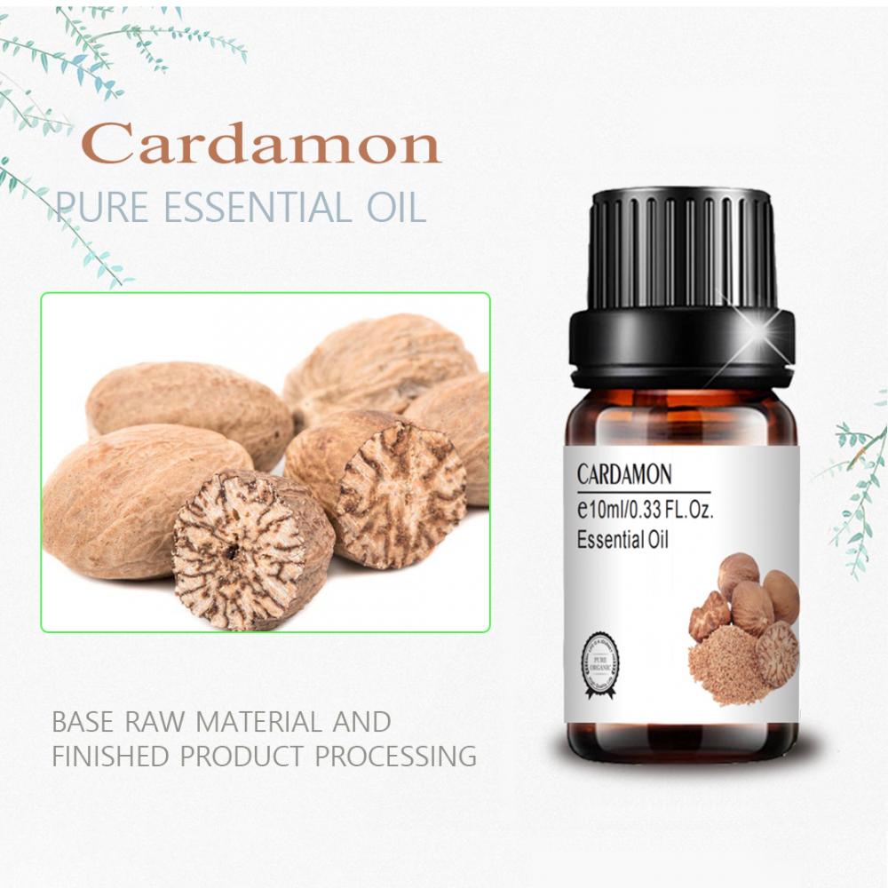 private label cardamon nutmeg essential oil promote appetite