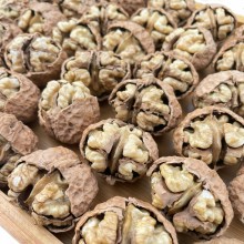 Organic Dapao Walnuts from Yunnan