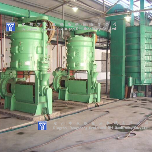 202 Screw oil press machine