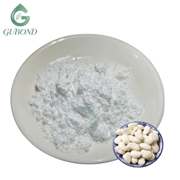 White Bean Protein Raw Material