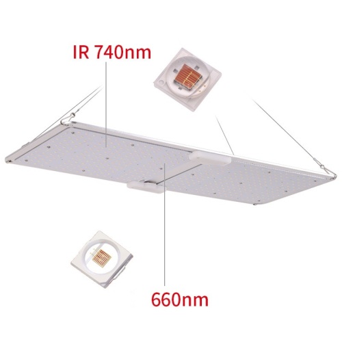 Industriell LED Grow Light Quantum 200W