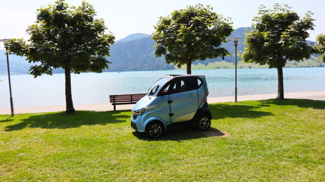 Electric Household New Cars with EEC Certificate 100ah Lithium Battery for Adults