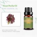 High qualitgy organic fragrance sweet perilla essential oil