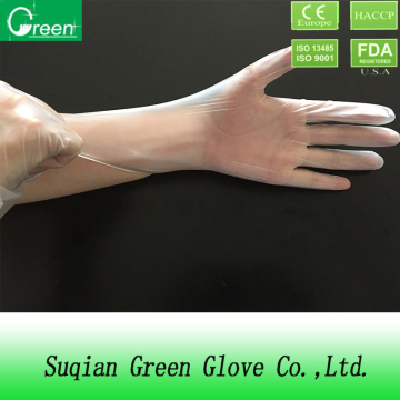 vinyl clear powder free gloves