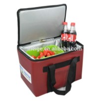fashion cooler bag/insulated cooler bag /cooler bag