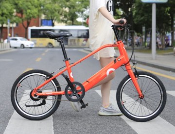 Green Electric Bicycle Hub Motor