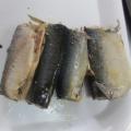 Makrelenfisch in Dosen in Ölgeschmack