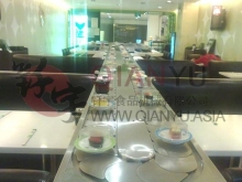 Chain Conveyor Rotary Chain Sushi Conveyor