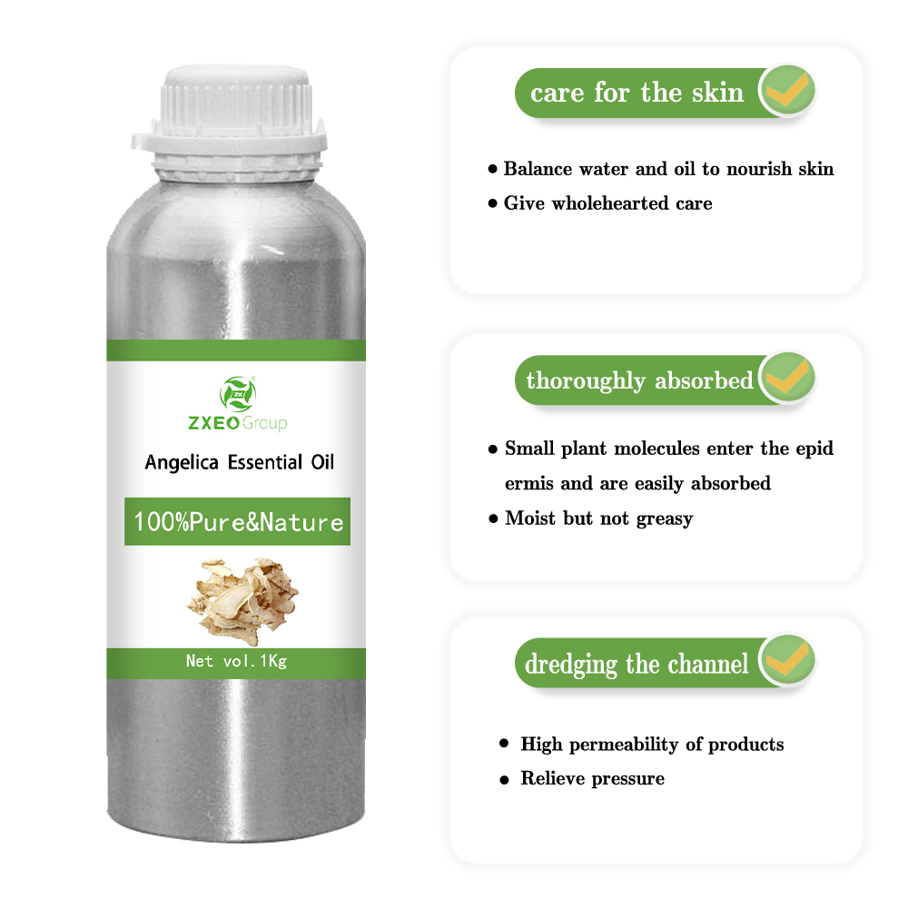 Angelica Raiz Natural Pure Salte essencial de óleo personalizável Private Rótulo de alta qualidade Óleo essencial para cuidados corporais OEM/ODM