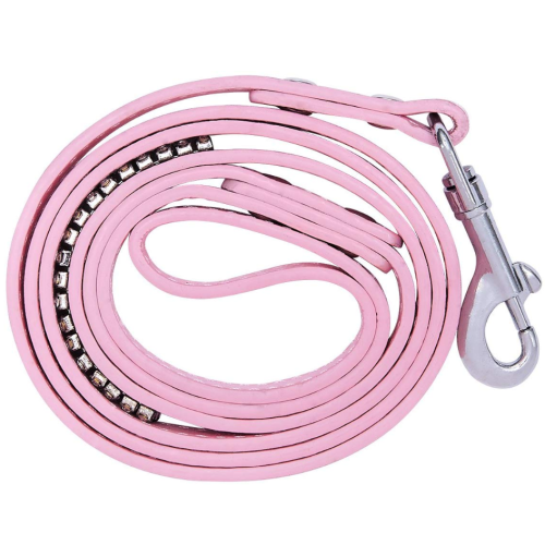 Rosa Pet Dog Leash